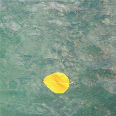 duck-rabbit - lucent download mp3 flac