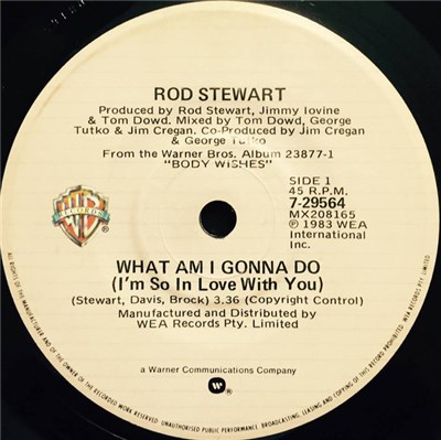 Rod Stewart - What Am I Gonna Do (I'm So In Love With You) download mp3 flac