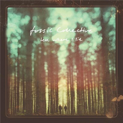 Fossil Collective - Tell Where I Lie download mp3 flac