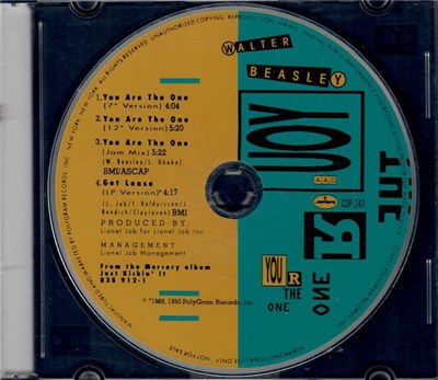 Walter Beasley - You Are The One download mp3 flac