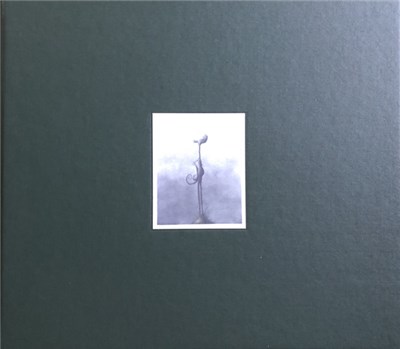 Eluvium - Life Through Bombardment Vol. 1 download mp3 flac
