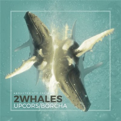 2Whales - Upcors / Borcha download mp3 flac