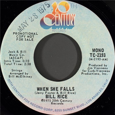 Bill Rice - When She Falls download mp3 flac