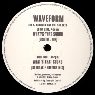 Waveform - What's That Sound download mp3 flac