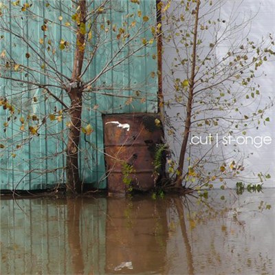 .cut | St-Onge - .cut | St-Onge download mp3 flac