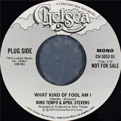 Nino Tempo & April Stevens - What Kind Of Fool Am I download mp3 flac