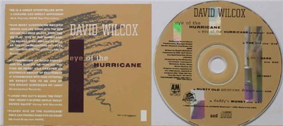 David Wilcox - Eye of the Hurricane download mp3 flac