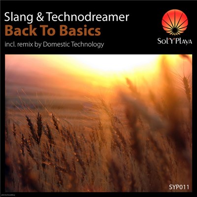 Slang & Technodreamer - Back To Basics download mp3 flac
