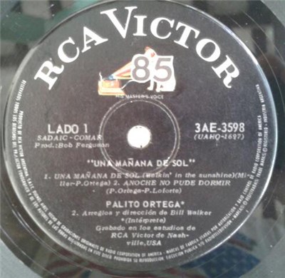 Palito Ortega - Una Mañana De Sol download mp3 flac