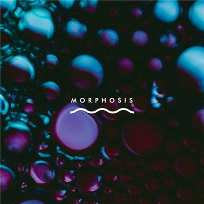 These Are My Tombs - Morphosis download mp3 flac