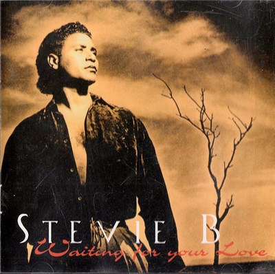Stevie B - Waiting For Your Love download mp3 flac