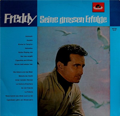 Freddy - Seine Grossen Erfolge download mp3 flac