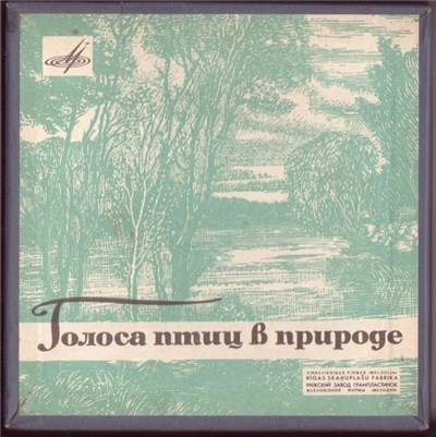 No Artist - Голоса Птиц В Природе = Voices Of Birds In The Nature download mp3 flac