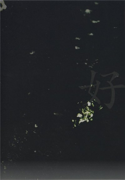Sanhedrin - 「好」の５W１H download mp3 flac