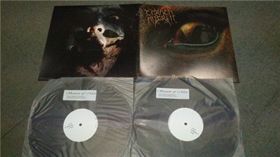 Carach Angren - Lammendam download mp3 flac