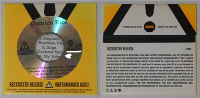 Damien Rice download mp3 flac