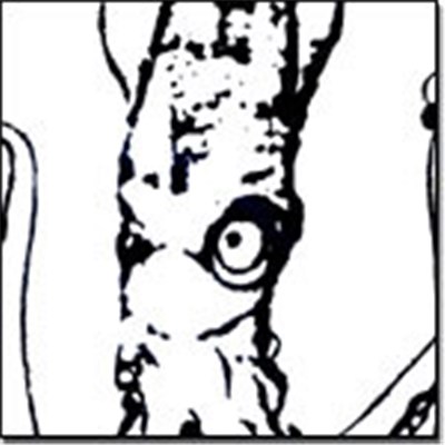 Nasty On - Squid download mp3 flac