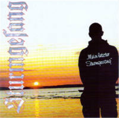 Sturmgesang - Mein Letzter Sturmgesang download mp3 flac