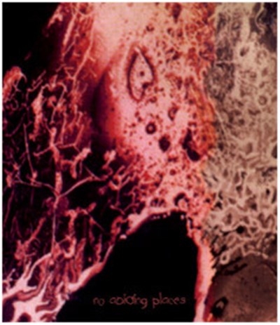 Various - No Abiding Places download mp3 flac