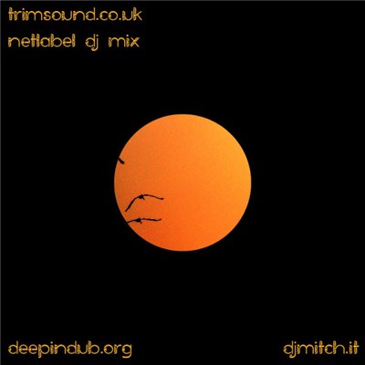 Various - Trimsound.co.uk Netlabel DJ Mix download mp3 flac