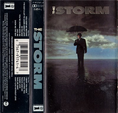 The Storm - The Storm download mp3 flac