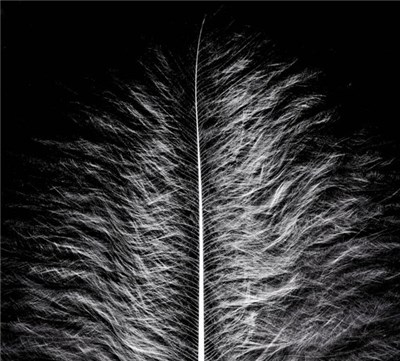 Artús - Artús download mp3 flac