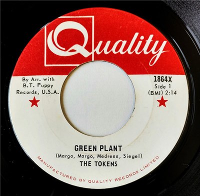 The Tokens - Green Plant / Saloogy download mp3 flac