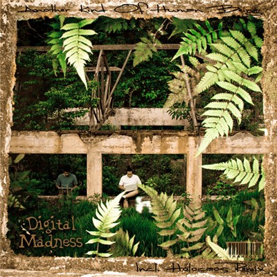 Digital Madness - Another Kind Of Human Being (Incl. Holocaos Remix) download mp3 flac