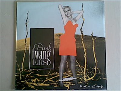 Pushtwangers - Here We Go Again... download mp3 flac
