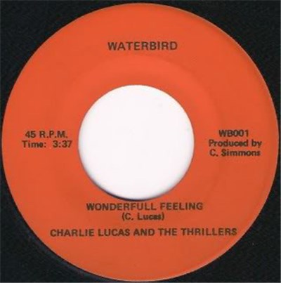 Charlie Lucas And The Thrillers - Wonderfull Feeling download mp3 flac