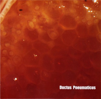 Phil Minton, Torsten Müller - Ductus Pneumaticus download mp3 flac