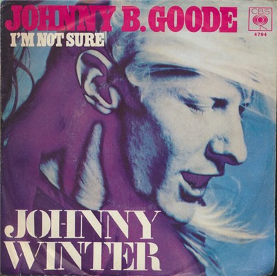 Johnny Winter - Johnny B. Goode download mp3 flac
