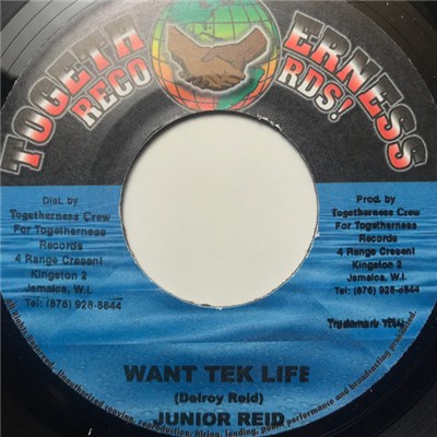 Junior Reid - Want Tek Life download mp3 flac
