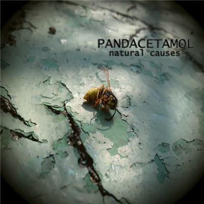 Pandacetamol - Natural Causes download mp3 flac