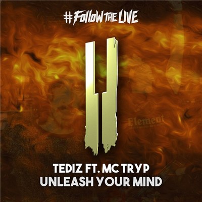 Tediz ft. MC Tryp - Unleash Your Mind download mp3 flac