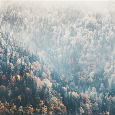 Shuta Yasukochi - Short Stories download mp3 flac