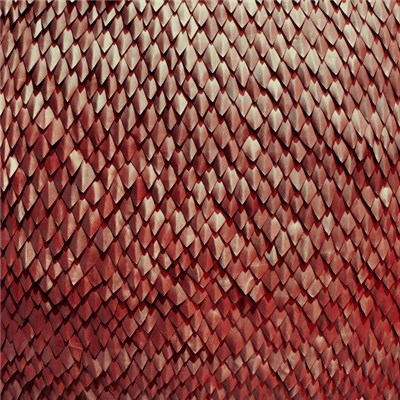 Kill The Vultures - Carnelian download mp3 flac