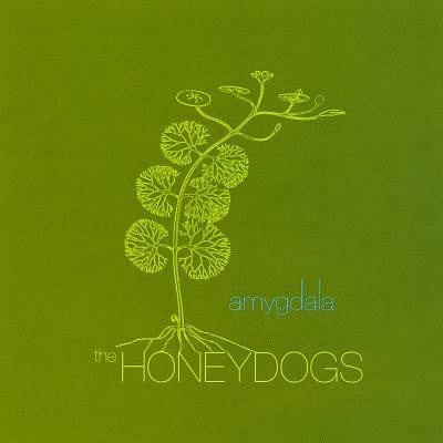 Honeydogs - Amygdala download mp3 flac