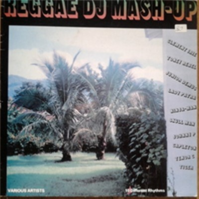 Various - Reggae DJ Mash-Up download mp3 flac