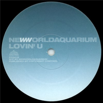 Newworldaquarium - Lovin' U download mp3 flac