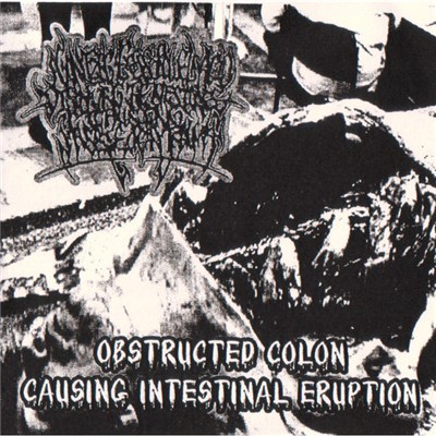 Agonizing Excess Bowel Acid Dissolving The Intestines Causing Massive Organ Trauma - Obstructed Colon Causing Intestinal Eruption download mp3 flac