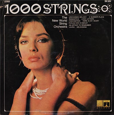 The New World String Orchestra - 1000 Strings download mp3 flac