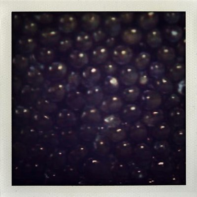 Sucré Salé - Caviar & Champagne download mp3 flac