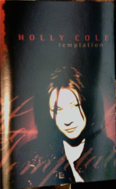 Holly Cole - Temptation download mp3 flac