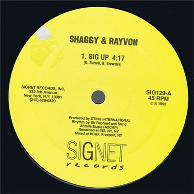 Shaggy & Rayvon - Big Up download mp3 flac