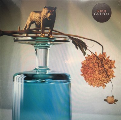 Beirut - Gallipoli download mp3 flac