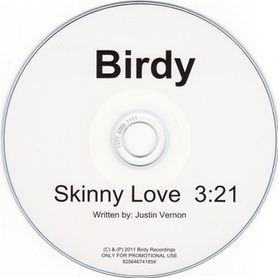 Birdy - Skinny Love download mp3 flac