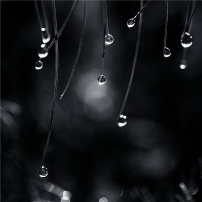 Nadia Popoff - Eleven download mp3 flac