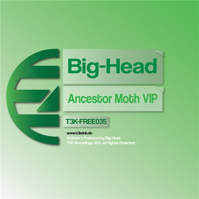 Big-Head - Ancestor Moth (VIP) download mp3 flac