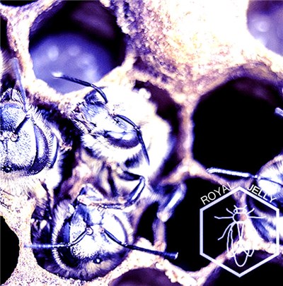 Royal Jelly - Emerging / Eyes To See download mp3 flac